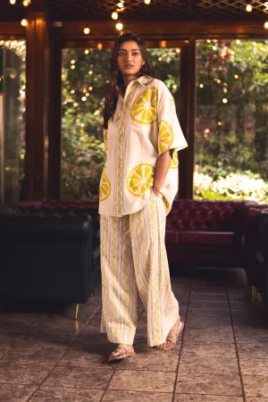 Casual Wear Pant