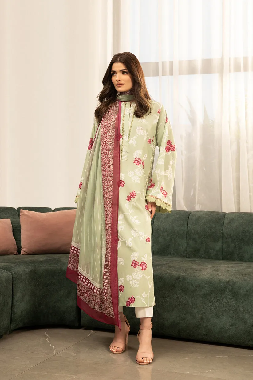 Passu 24 - Doko Dupatta
