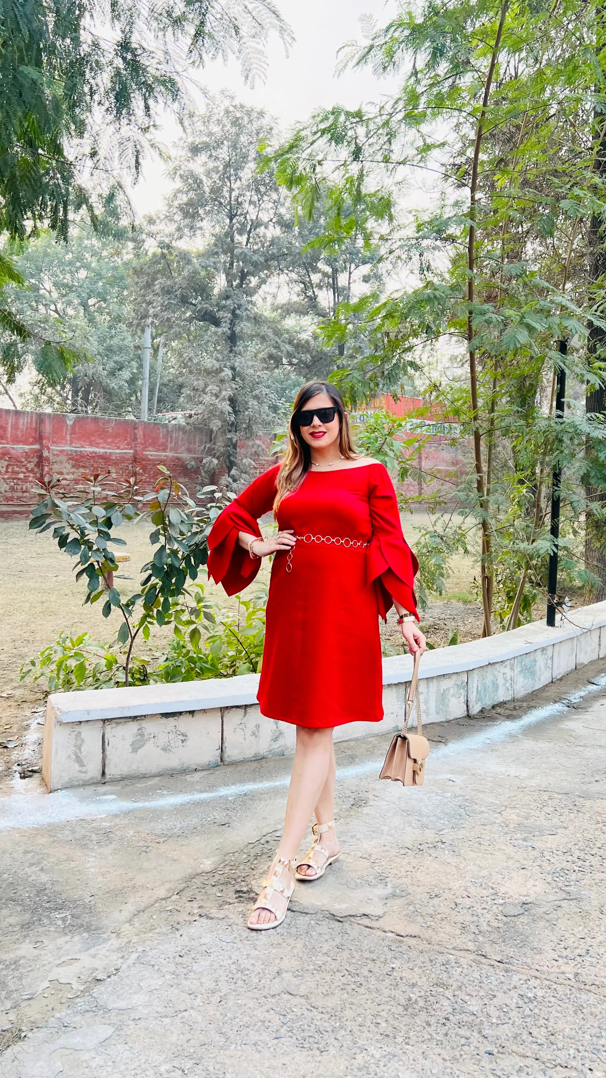 Red Petal Sleeves Dress