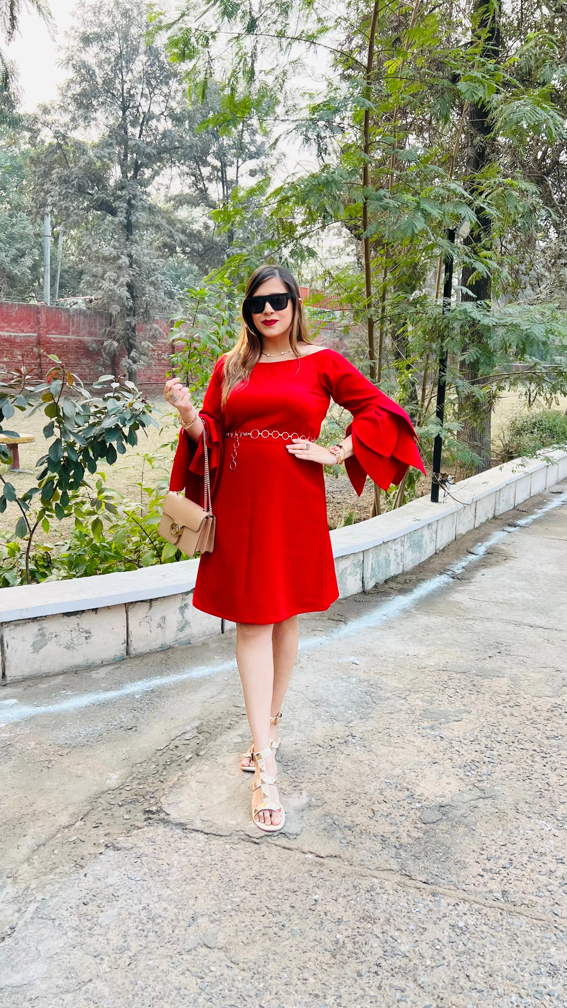 Red Petal Sleeves Dress