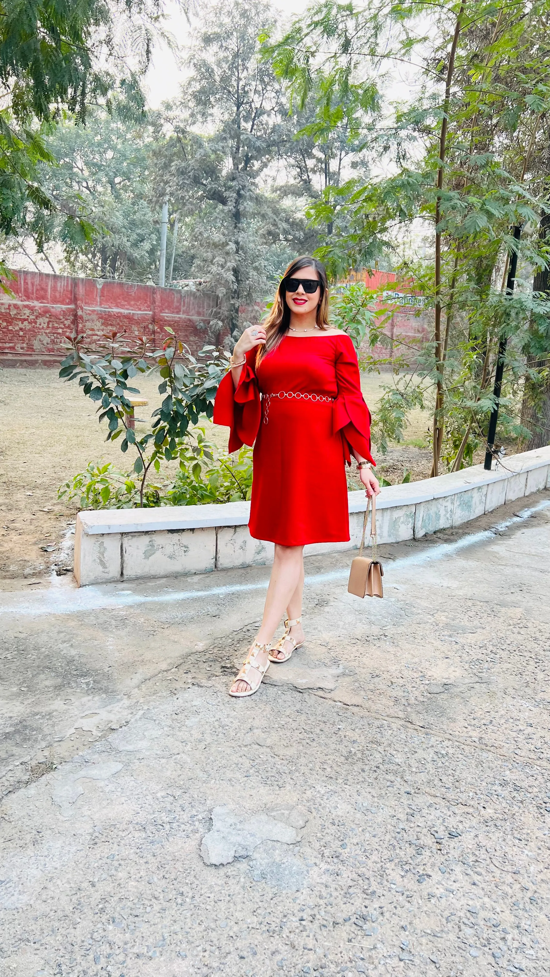 Red Petal Sleeves Dress