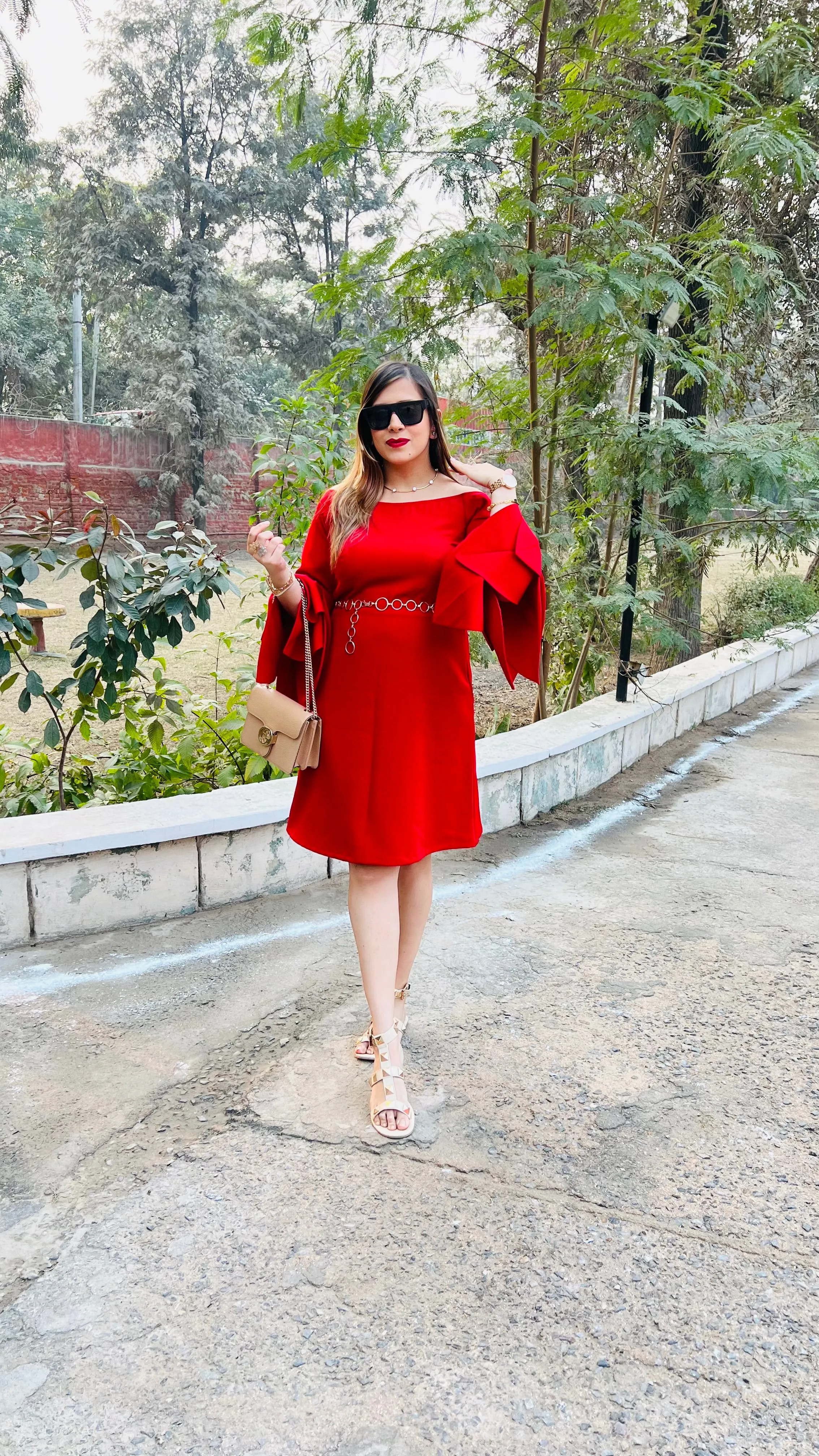 Red Petal Sleeves Dress